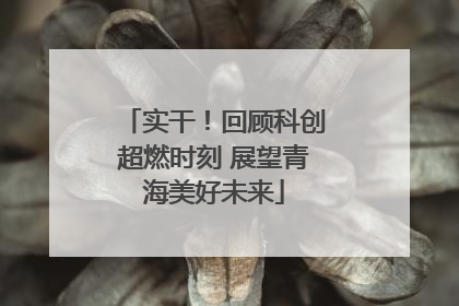 实干！回顾科创超燃时刻 展望青海美好未来