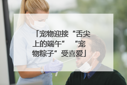宠物迎接“舌尖上的端午” “宠物粽子”受喜爱