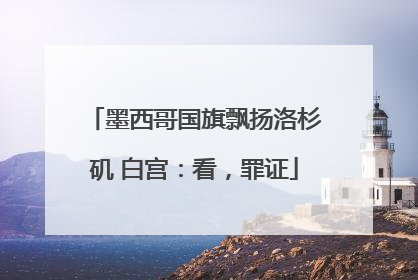 墨西哥国旗飘扬洛杉矶 白宫：看，罪证