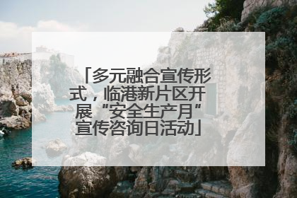 多元融合宣传形式，临港新片区开展“安全生产月”宣传咨询日活动
