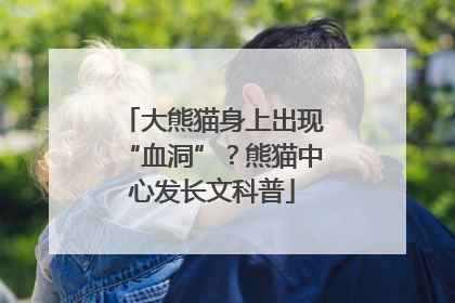 大熊猫身上出现“血洞”？熊猫中心发长文科普