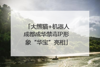 大熊猫+机器人 成都成华禁毒IP形象“华宝”亮相