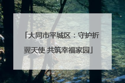 大同市平城区：守护折翼天使 共筑幸福家园