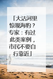 大沽河里惊现海豹？专家：有过此类案例，市民不要自行靠近
