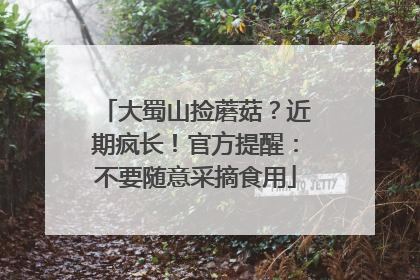 大蜀山捡蘑菇？近期疯长！官方提醒：不要随意采摘食用