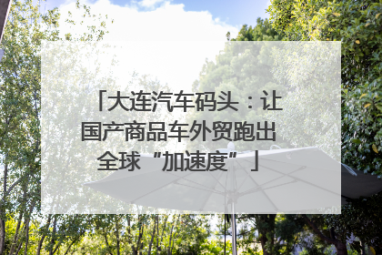 大连汽车码头：让国产商品车外贸跑出全球“加速度”