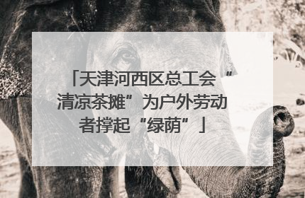 天津河西区总工会“清凉茶摊”为户外劳动者撑起“绿荫”