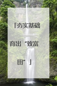 夯实基础育出“致富田”