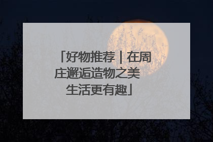 好物推荐｜在周庄邂逅造物之美 生活更有趣