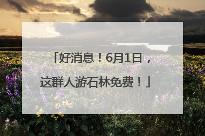 好消息！6月1日，这群人游石林免费！