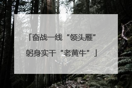 奋战一线“领头雁” 躬身实干“老黄牛”