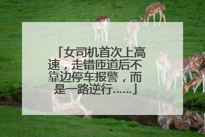 女司机首次上高速，走错匝道后不靠边停车报警，而是一路逆行……