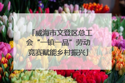 威海市文登区总工会“一镇一品”劳动竞赛赋能乡村振兴