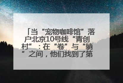 当“宠物咖啡馆”落户北京10号线“青创村”：在“卷”与“躺”之间，他们找到了第三种生活公式