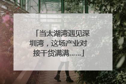 当太湖湾遇见深圳湾，这场产业对接干货满满……