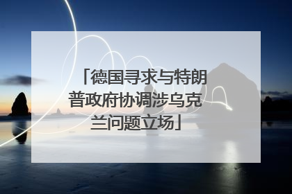 德国寻求与特朗普政府协调涉乌克兰问题立场