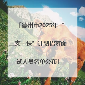 德州市2025年“三支一扶”计划招募面试人员名单公布