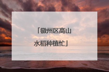 徽州区高山水稻种植忙