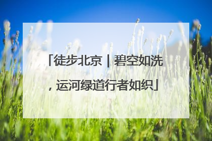 徒步北京｜碧空如洗，运河绿道行者如织