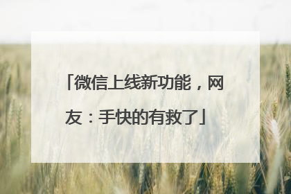 微信上线新功能，网友：手快的有救了