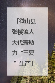 微山县张楼镇人大代表助力“三夏”生产