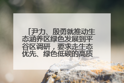 尹力、殷勇就推动生态涵养区绿色发展到平谷区调研，要求走生态优先、绿色低碳的高质量发展之路