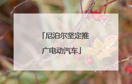 尼泊尔坚定推广电动汽车