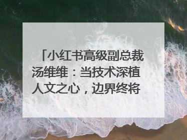 小红书高级副总裁汤维维：当技术深植人文之心，边界终将化为桥梁｜聚焦2025文化强国建设高峰论坛