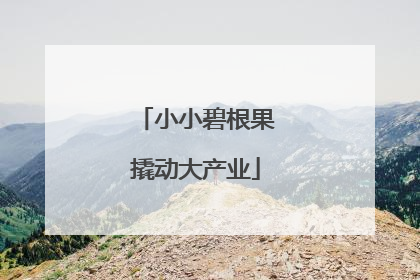 小小碧根果撬动大产业