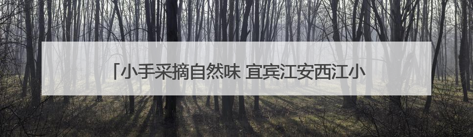 小手采摘自然味 宜宾江安西江小学开展劳动基地蔬菜采摘售卖活动