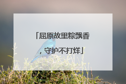 屈原故里粽飘香，守护不打烊