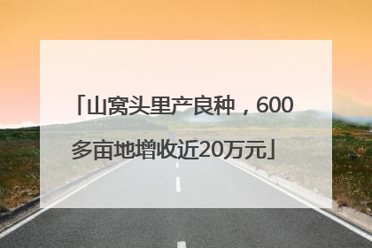 山窝头里产良种，600多亩地增收近20万元