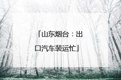 山东烟台：出口汽车装运忙