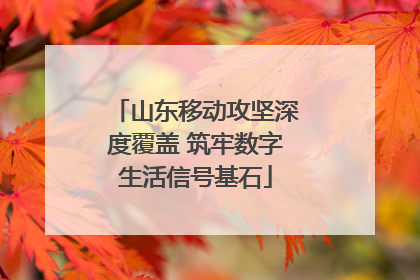 山东移动攻坚深度覆盖 筑牢数字生活信号基石
