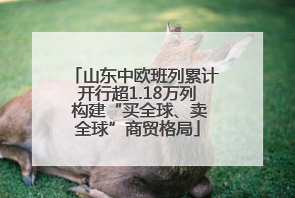 山东中欧班列累计开行超1.18万列 构建“买全球、卖全球”商贸格局
