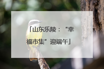 山东乐陵：“幸福市集”迎端午