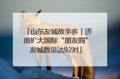 山东友城故事多｜济南扩大国际“朋友圈”友城数量达92对