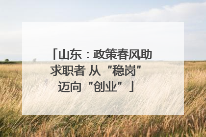 山东：政策春风助求职者 从“稳岗”迈向“创业”