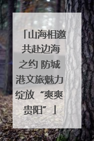 山海相邀 共赴边海之约 防城港文旅魅力绽放“爽爽贵阳”