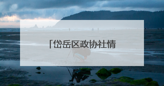 岱岳区政协社情民意“小信息”实现“大作为”