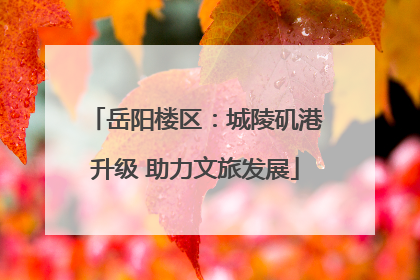 岳阳楼区：城陵矶港升级 助力文旅发展