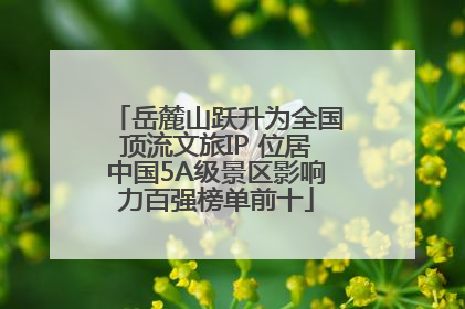 岳麓山跃升为全国顶流文旅IP 位居中国5A级景区影响力百强榜单前十