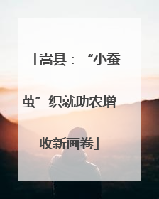 嵩县：“小蚕茧”织就助农增收新画卷