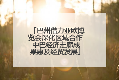 巴州借力亚欧博览会深化区域合作 中巴经济走廊成果惠及经贸发展