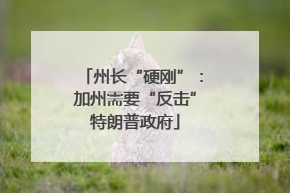 州长“硬刚”：加州需要“反击”特朗普政府