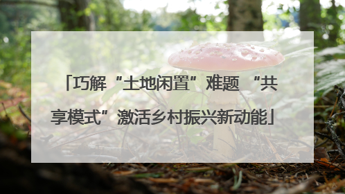 巧解“土地闲置”难题 “共享模式”激活乡村振兴新动能