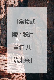 常德武陵：税月童行 共筑未来