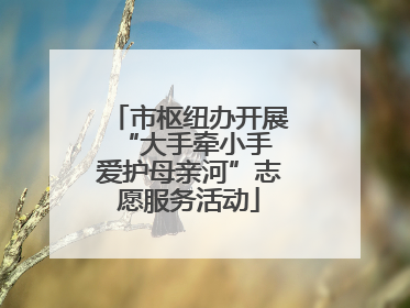 市枢纽办开展“大手牵小手 爱护母亲河”志愿服务活动