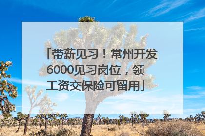 带薪见习！常州开发6000见习岗位，领工资交保险可留用