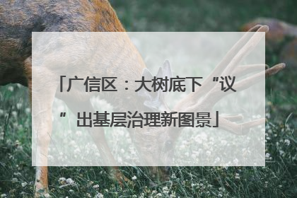 广信区：大树底下“议”出基层治理新图景